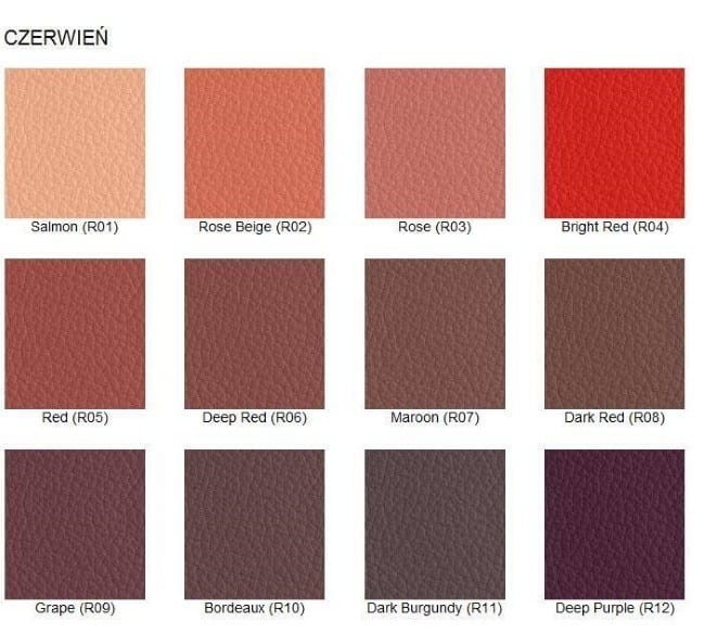 Farba do Skóry 50ml Furniture Clinic