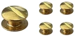 Gedrehte Nieten 3,5mm Schraube Gold 5St