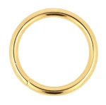 Lederring 40 mm, Draht 5 mm, goldene O-Ringe, 5 Stück