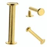 Schraubnieten, Niete mit Schraube, 50 mm, goldfarben, flach, 10 Stück 