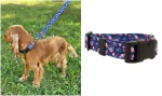 Verstellbares, handgefertigtes Hundehalsband von ASTROŚWIAT