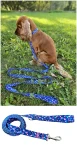 Hundehalsband, klassisch, robust, HANDMADE, AstroŚwiat