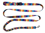 Hundeleine mit Stoßdämpfer, 380 cm, Muster „REGENBOGEN“, verstellbar, HandsFree