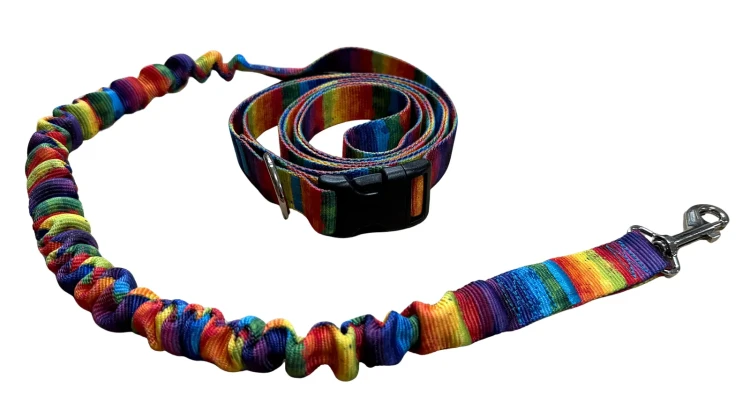 Smycz dla Psa z Amortyzatorem 480cm wzór TĘCZA Regulowana HandsFree