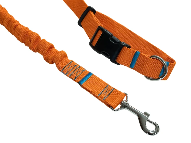 Smycz dla Psa z Amortyzatorem 280cm ORANGE Regulowana Sportowa