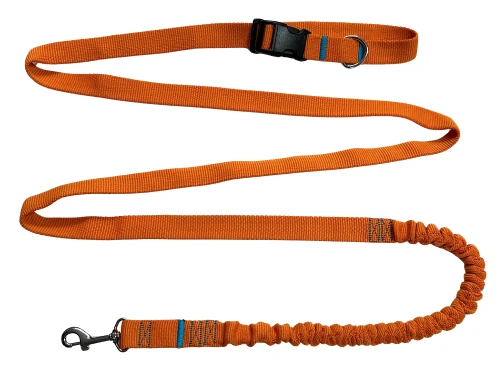 Smycz dla Psa z Amortyzatorem 280cm ORANGE Regulowana Sportowa