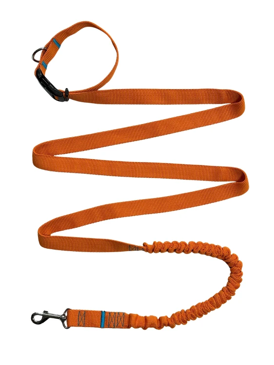 Smycz dla Psa z Amortyzatorem 280cm ORANGE Regulowana Sportowa
