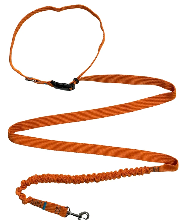 Smycz dla Psa z Amortyzatorem 280cm ORANGE Regulowana Sportowa
