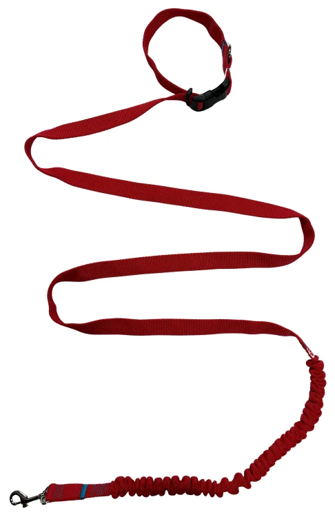 Smycz dla Psa z Amortyzatorem 380cm CZERWONA Regulowana HandsFree Made in Poland
