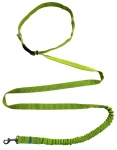 Hundeleine mit Stoßdämpfer, 380 cm, SELEDYN, verstellbar, HandsFree, Made in Poland