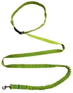 Hundeleine mit Stoßdämpfer, 380 cm, SELEDYN, verstellbar, HandsFree, Made in Poland