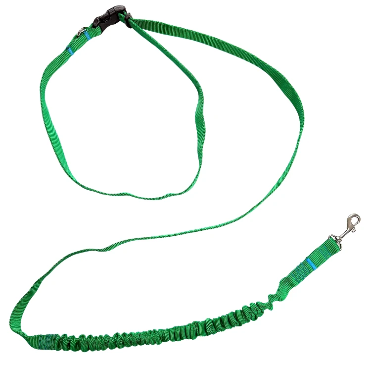 Smycz dla Psa z Amortyzatorem 480cm ZIELONA Regulowana HandsFree Made in Poland