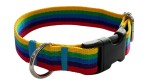 Hundehalsband 2 cm mit Schnalle, verstellbar, Regenbogen, „Zepnij“