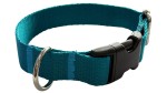 Hundehalsband 2,5 cm mit Schnalle, verstellbar, türkis, schließen