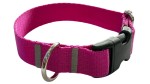 Hundehalsband 2,5 cm mit Schnalle, verstellbar, fuchsia, schließen