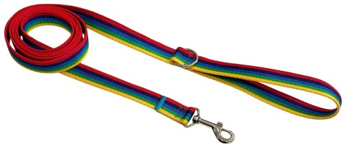 Smycz dla Psa Tradycyjna 2 cm Tęcza Zepnij