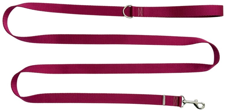 Smycz dla Psa Tradycyjna 2 cm Bordo Zepnij