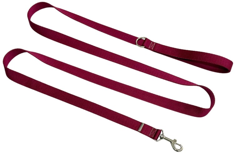 Smycz dla Psa Tradycyjna 2 cm Bordo Zepnij