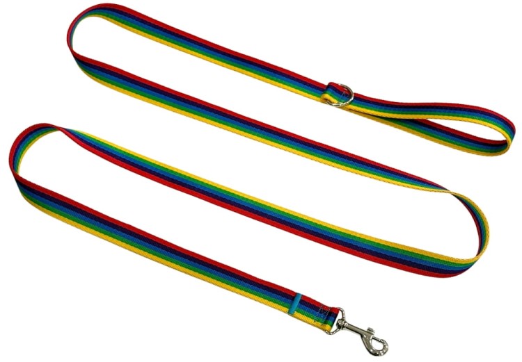 Smycz dla Psa Tradycyjna 2,5 cm Tęcza Zepnij