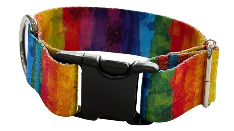 Obroża dla Psa szeroka 4 cm z klamrą Rainbow Zepnij